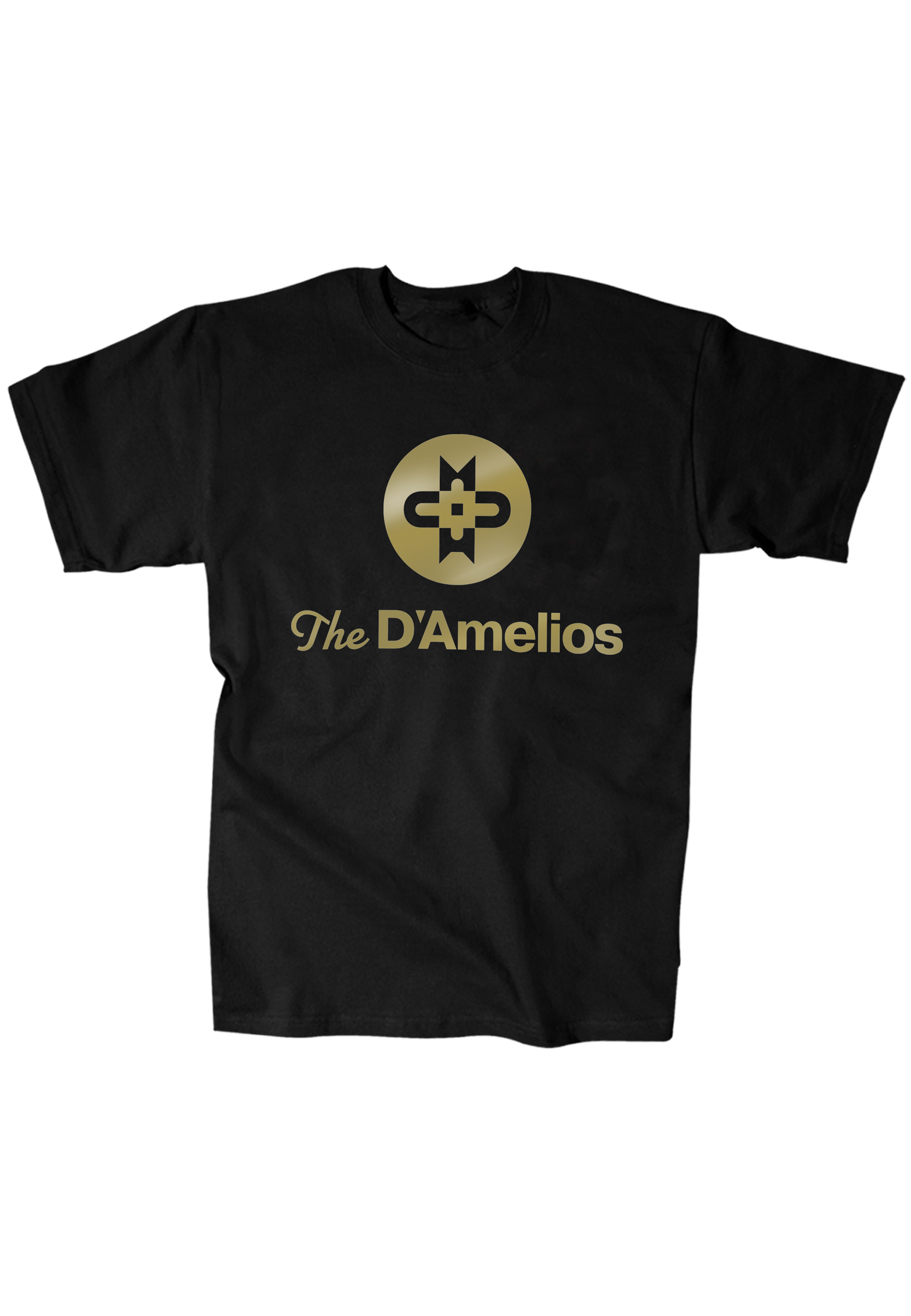 The D'Amelio Family | Dam Fam Logo Tee in Black with Metallic Text