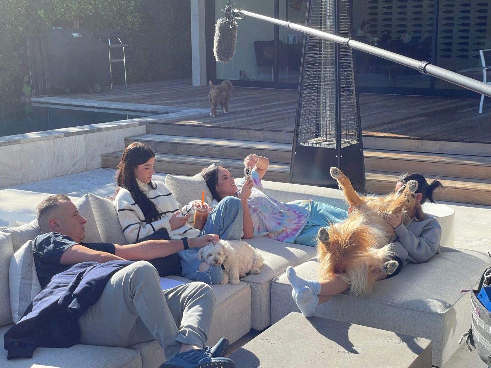 The family and the dogs between takes on The D'Amelio Show